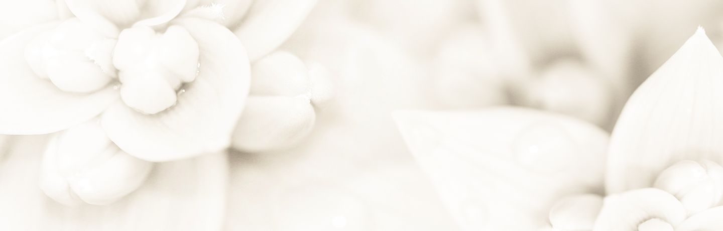 VORWERKobold e Bimby